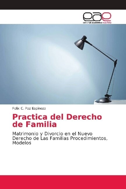 Practica del Derecho de Familia (Paperback)