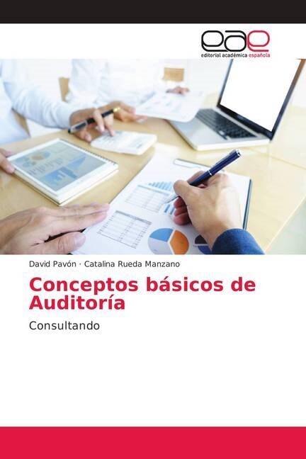 Conceptos b?icos de Auditor? (Paperback)