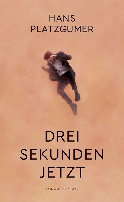 Drei Sekunden Jetzt (Hardcover)