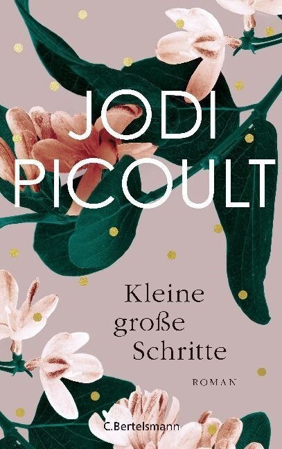 Kleine große Schritte (Hardcover)