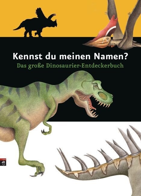 Kennst du meinen Namen？ (Hardcover)