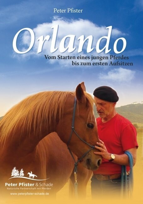 Orlando, 1 DVD (DVD Video)