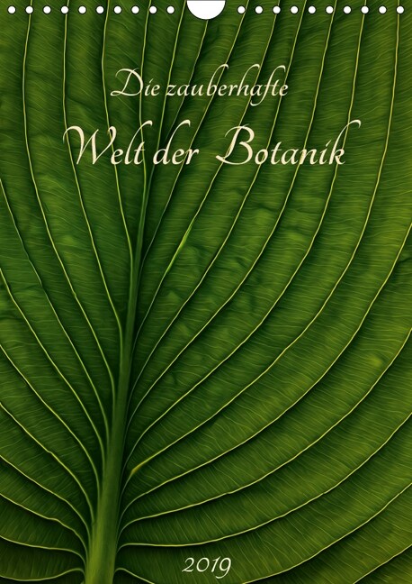 Die zauberhafte Welt der Botanik (Wandkalender 2019 DIN A4 hoch) (Calendar)