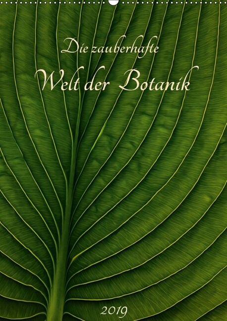 Die zauberhafte Welt der Botanik (Wandkalender 2019 DIN A2 hoch) (Calendar)
