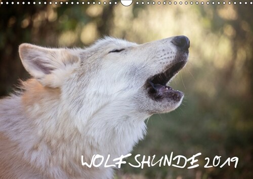 Wolfshunde 2019 (Wandkalender 2019 DIN A3 quer) (Calendar)