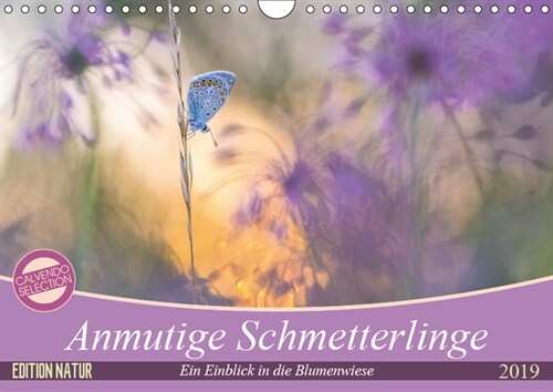 Anmutige Schmetterlinge (Wandkalender 2019 DIN A4 quer) (Calendar)