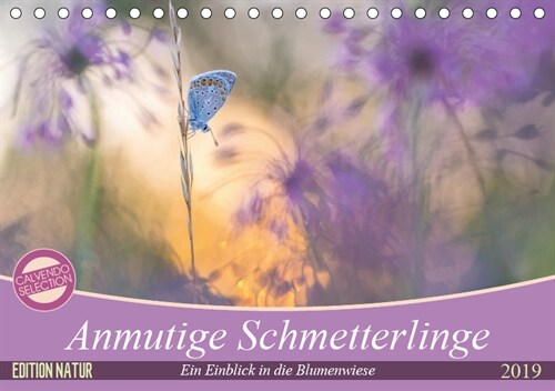 Anmutige Schmetterlinge (Tischkalender 2019 DIN A5 quer) (Calendar)