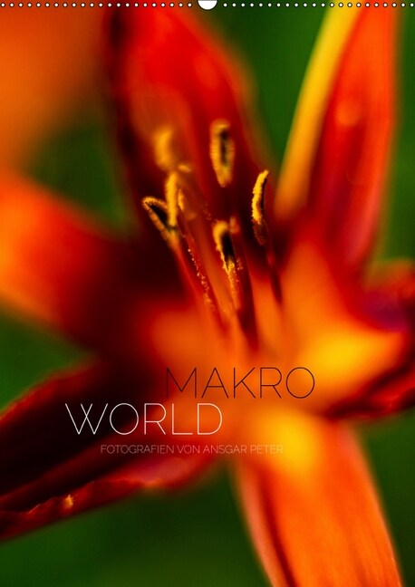 Makro World (Wandkalender 2019 DIN A2 hoch) (Calendar)