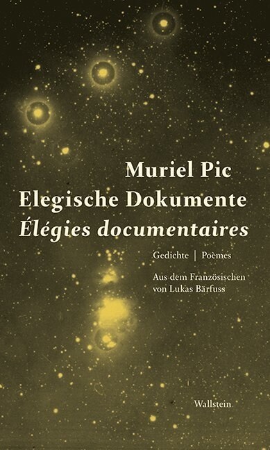 Elegische Dokumente / Elegies documentaires (Hardcover)