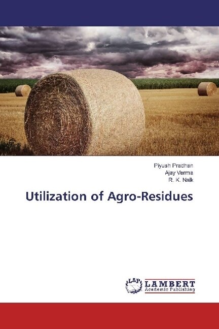 Utilization of Agro-Residues (Paperback)