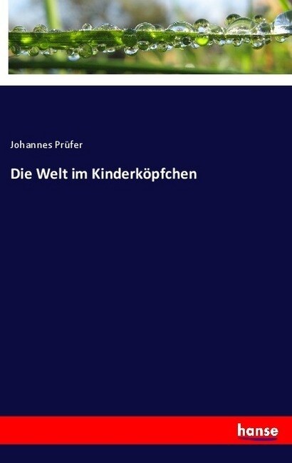 Die Welt im Kinderkopfchen (Paperback)