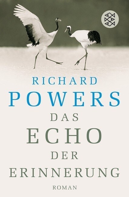 Das Echo der Erinnerung (Paperback)