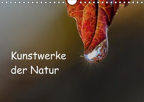 Kunstwerke der Natur (Wandkalender 2018 DIN A4 quer) (Calendar)