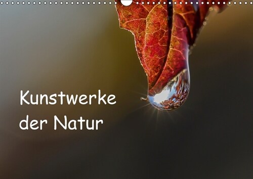 Kunstwerke der Natur (Wandkalender 2018 DIN A3 quer) (Calendar)