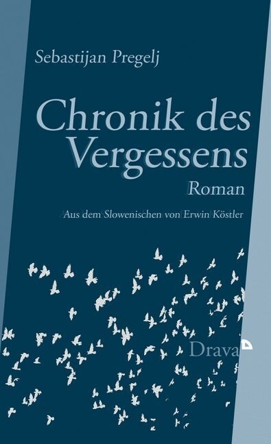 Chronik des Vergessens (Hardcover)