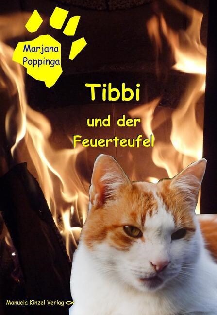 Tibbi und der Feuerteufel (Paperback)