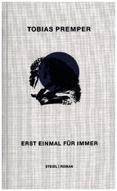 Erst einmal fur immer (Hardcover)