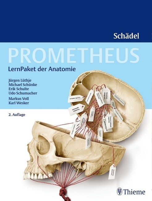 Prometheus Schadel, LernPaket der Anatomie (General Merchandise)