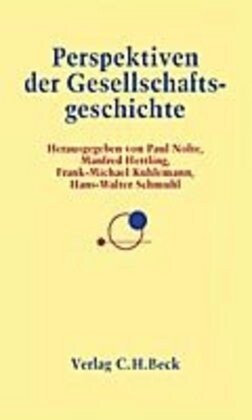 Perspektiven der Gesellschaftsgeschichte (Paperback)