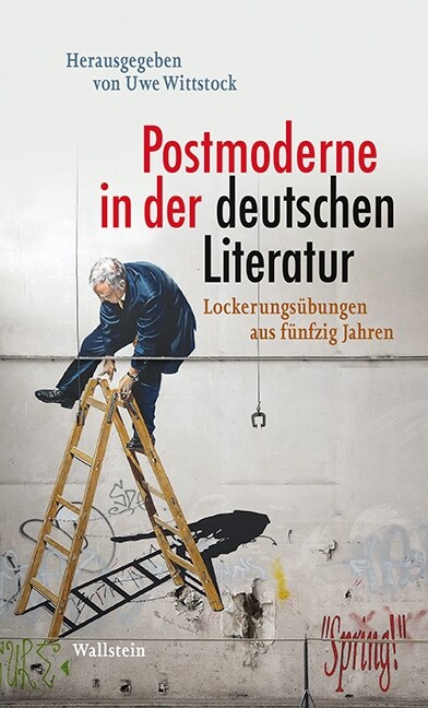 Postmoderne in der deutschen Literatur (Hardcover)