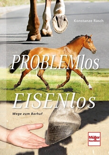 Problemlos Eisenlos (Hardcover)