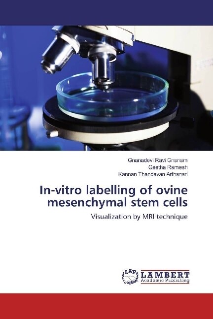 In-vitro labelling of ovine mesenchymal stem cells (Paperback)