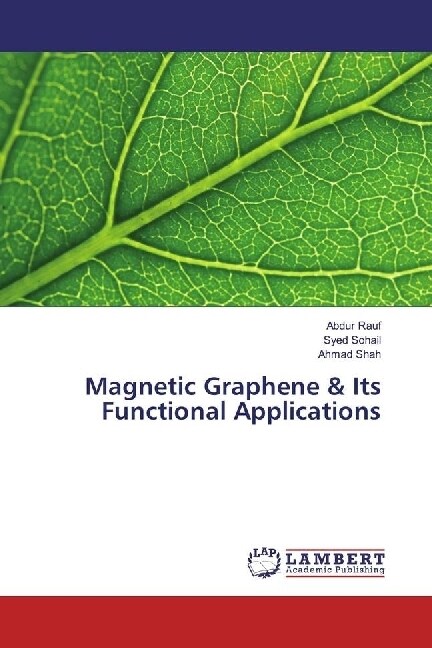Magnetic Graphene & Its Functional Applications (Paperback)