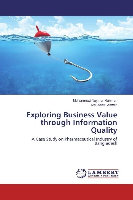Exploring Business Value through Information Quality (Paperback)