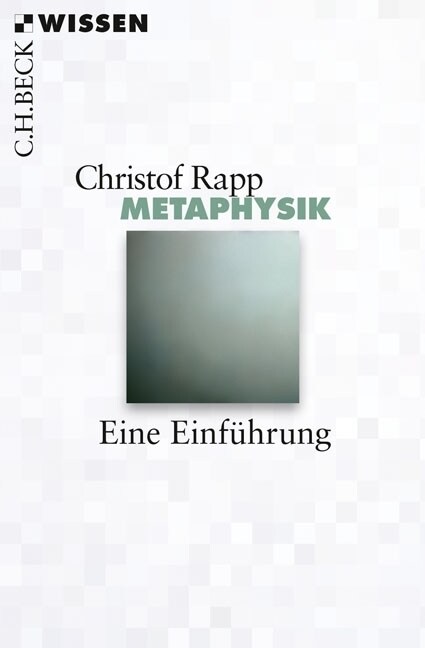 Metaphysik (Paperback)