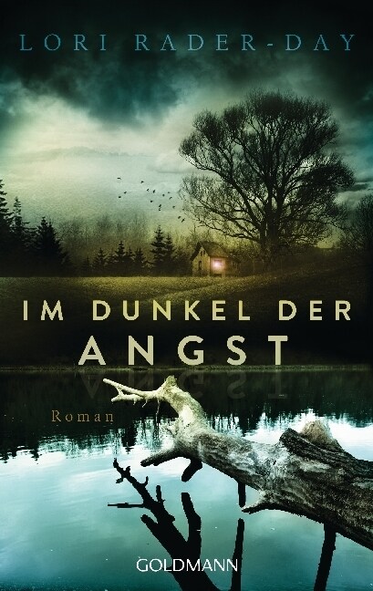 Im Dunkel der Angst (Paperback)