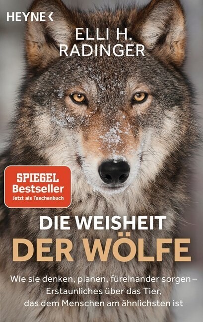 Die Weisheit der Wolfe (Paperback)