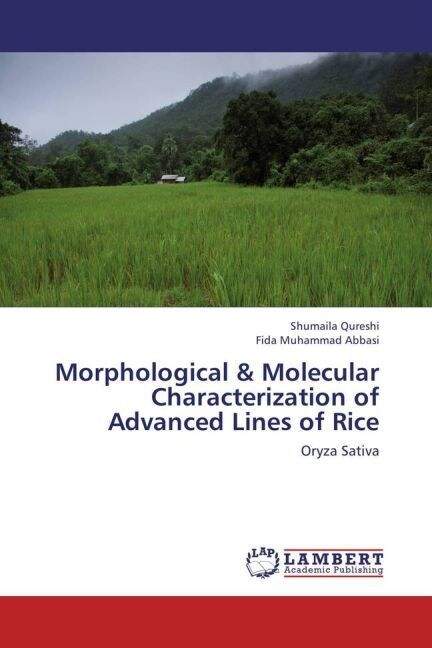 Morphological & Molecular Characterization of Advanced Lines of Rice (Paperback)