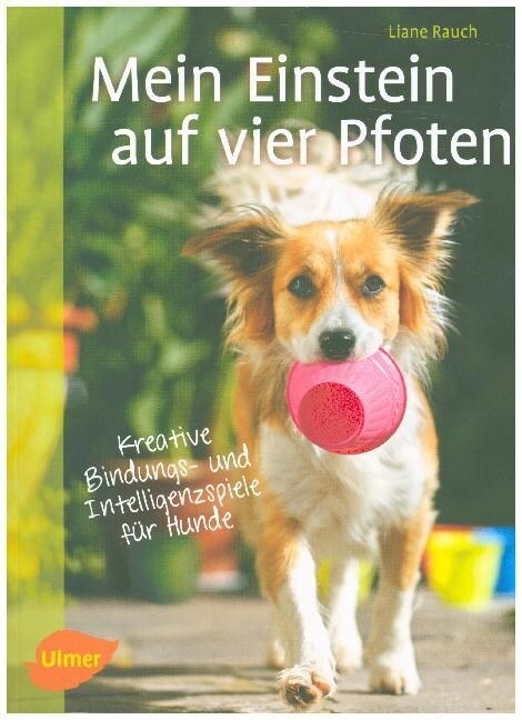 Mein Einstein auf vier Pfoten (Paperback)