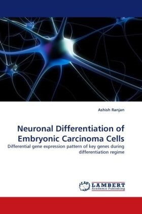 Neuronal Differentiation of Embryonic Carcinoma Cells (Paperback)