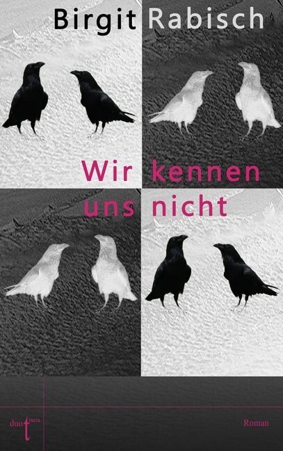 Wir kennen uns nicht (Paperback)