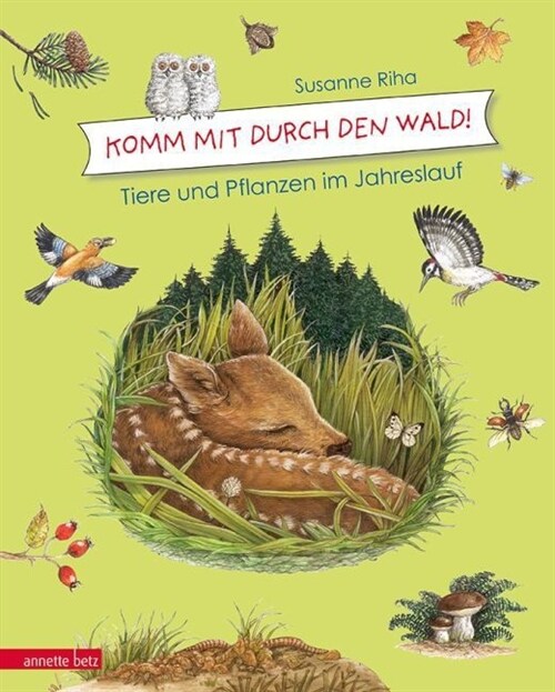 Kommt mit durch den Wald! (Hardcover)