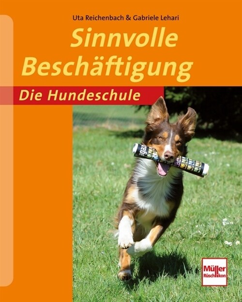 Sinnvolle Beschaftigung (Paperback)