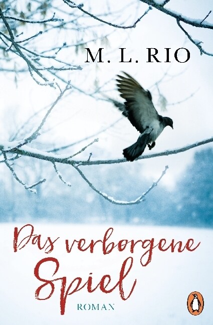 Das verborgene Spiel (Paperback)