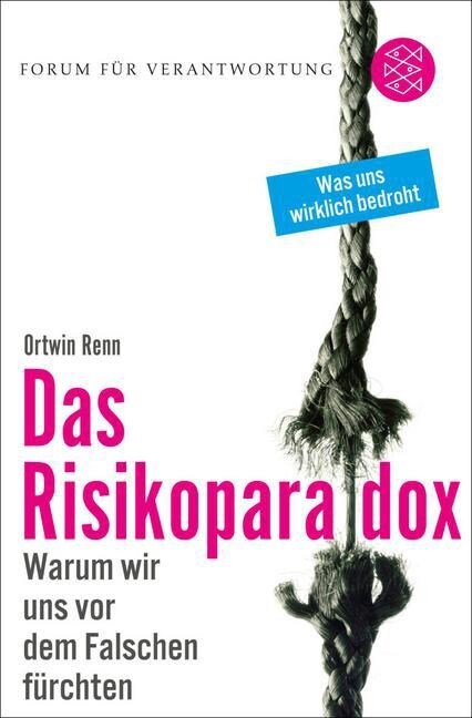 Das Risikoparadox (Paperback)