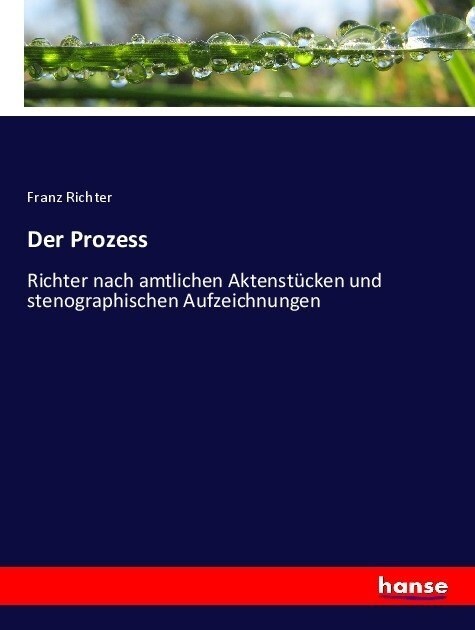 Der Prozess: Richter nach amtlichen Aktenst?ken und stenographischen Aufzeichnungen (Paperback)