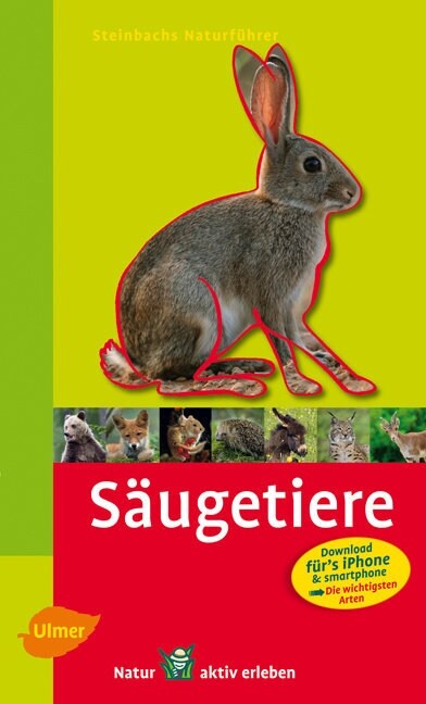 Saugetiere (Paperback)