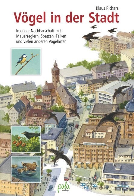 Vogel in der Stadt (Hardcover)