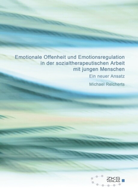 Emotionale Offenheit und Emotionsregulation in der sozialtherapeutischen Arbeit mit jungen Menschen (Paperback)