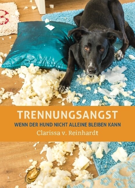 Trennungsangst (Hardcover)