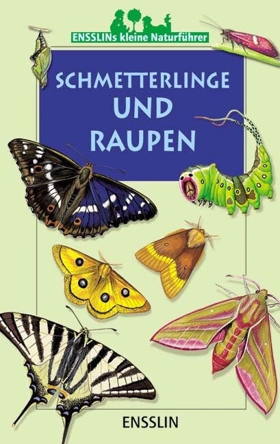 Schmetterlinge und Raupen (Paperback)