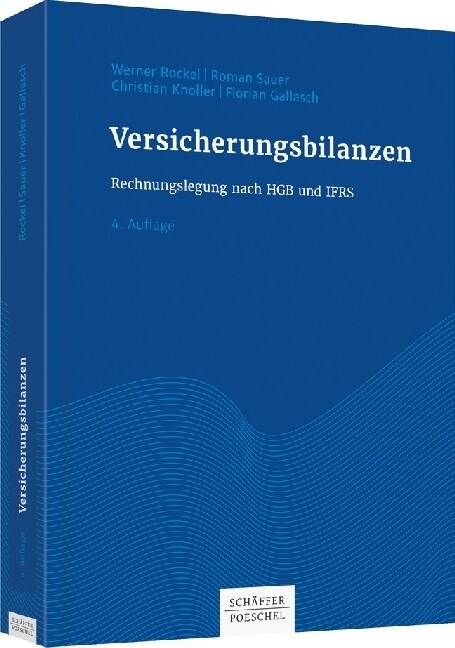 Versicherungsbilanzen (Hardcover)