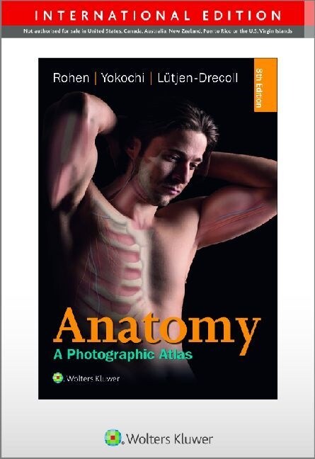 Anatomy (Paperback)