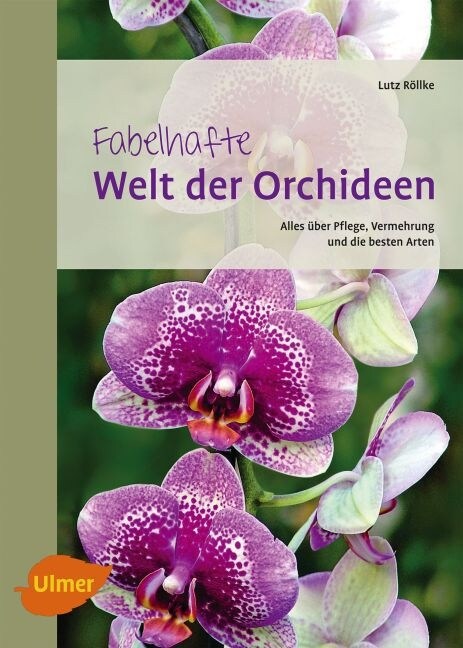 Fabelhafte Welt der Orchideen (Paperback)