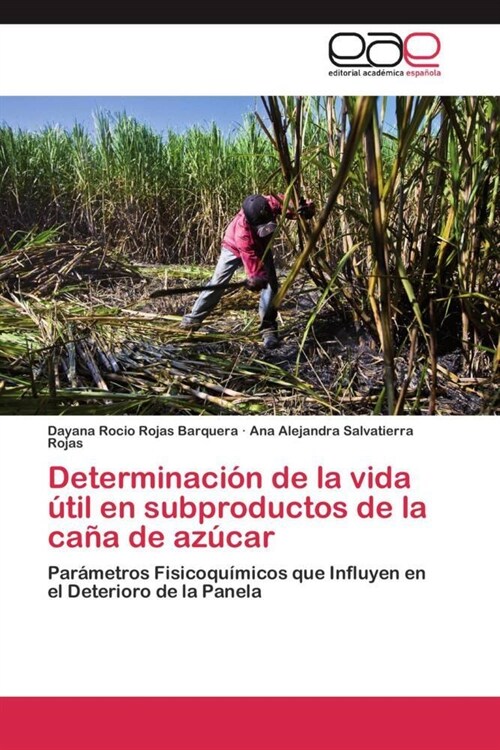 Determinacion de la vida util en subproductos de la cana de azucar (Paperback)