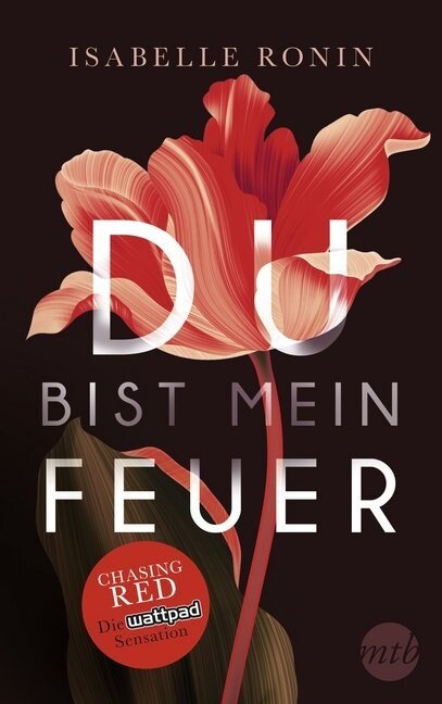 Du bist mein Feuer (Paperback)